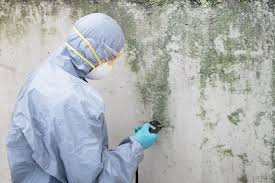 Mold Odor Removal Services in Centereach, NY